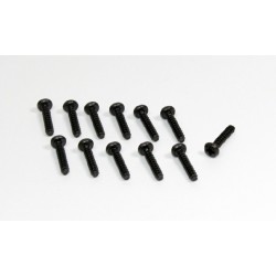 Head Cross screw M3x18 (12) Sand Buggy