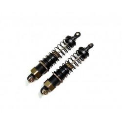 Shock Absorber front complete (2) AB2.8 BL