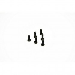 Button Head Hex Screw M3x10 (6) AB2.8 BL