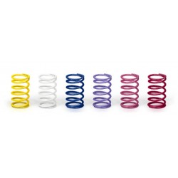 XRAY SELECTED ULTIMATE RACING SPRINGS (24)