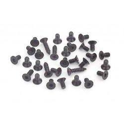 BLACK HEX AND PHILLIPS SCREW SET FOR T1  (31)