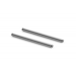 REAR SUSPENSION PIVOT PIN 3x46MM (2)