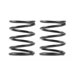 XRAY 3S SPRING-SET C=4.0 (2)