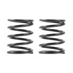 XRAY 3S SPRING-SET C=5.0 (2)