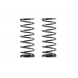 FRONT SPRING-SET - 1 DOT (2)