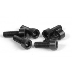 ALU 7075 HEX SCREW M3x8 FOR REAR WHEELS (6)