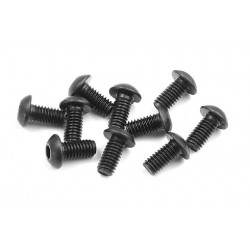 HEX SCREW SH M4x8  (10)