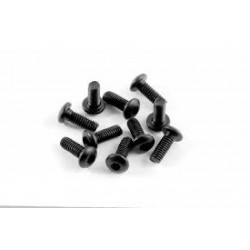 HEX SCREW SH M4x10  (10)