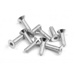 HEX SCREW SFH M3x10 - SILVER  (10)