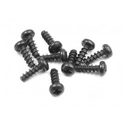 SCREW PHILLIPS 2.5x8  (10)