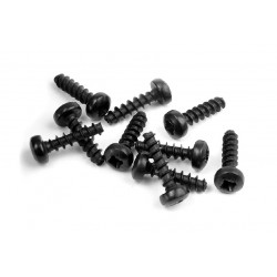 SCREW PHILLIPS 2.5x10  (10)