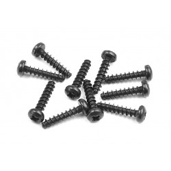 SCREW PHILLIPS 2.5x12  (10)