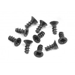 SCREW PHILLIPS FH 2.5x6  (10)