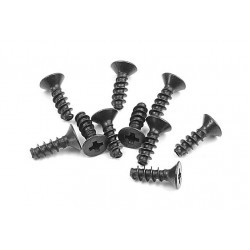 SCREW PHILLIPS FH 2.5x8  (10)