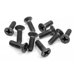 SCREW PHILLIPS M 2.5x8  (10)