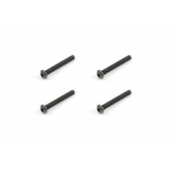 Button Head Screw M3x30mm (4)