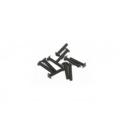 Axial šroub imbus M2.5x12mm BH (10)