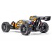 Rogue Buggy 3S BRUSHLESS RTR 4wd - oranžová