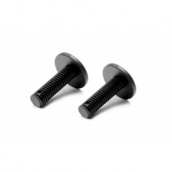 COMPOSITE REAR BODY HOLDER SCREW - MEDIUM (2)