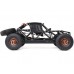 RC auto Losi 8ight-X Super Lasernut Buggy 1:6 4WD RTR