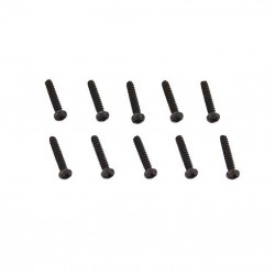 BT 2x10 BH Screw (10)